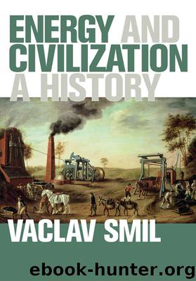Energy and Civilization: A History (MIT Press) by Vaclav Smil