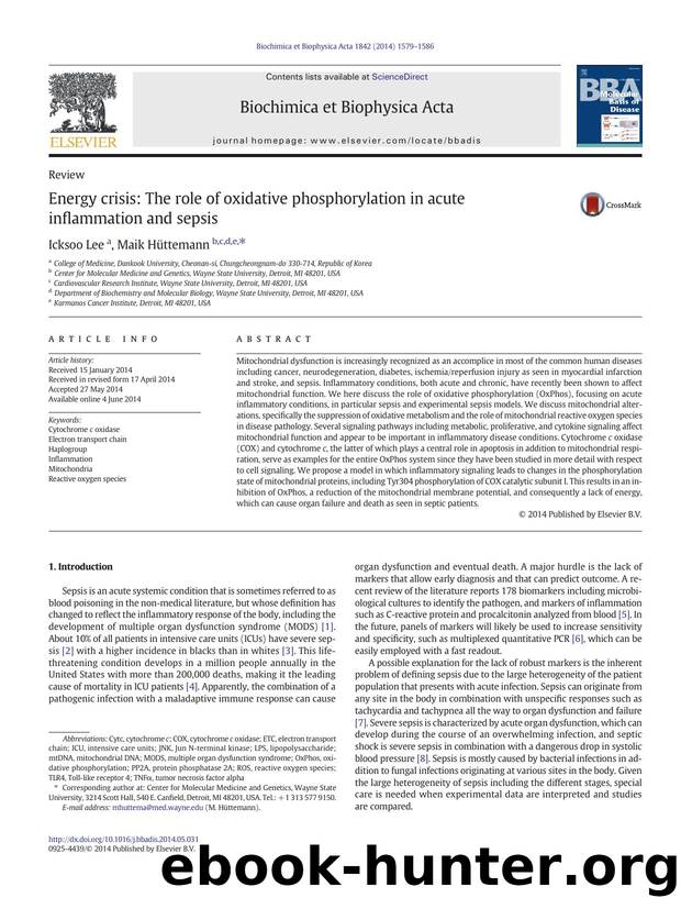 Energy crisis: The role of oxidative phosphorylation in acute inflammation and sepsis by Icksoo Lee & Maik Hüttemann