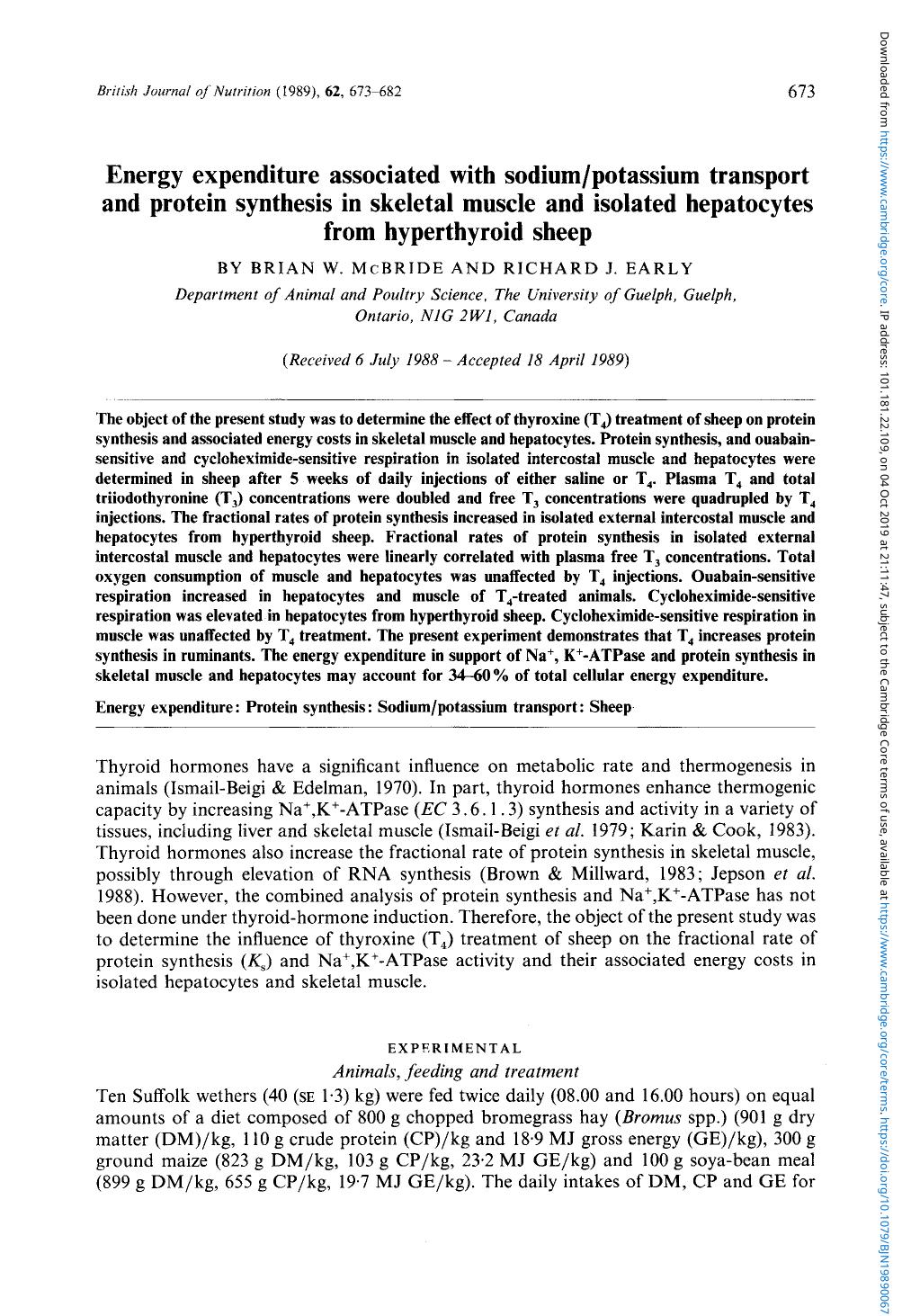 Energy expenditure associated with sodiumpotassium transport and protein synthesis in skeletal muscle and isolated hepatocytes from hyperthyroid sheep by Brian W. McBride & Richard J. Early