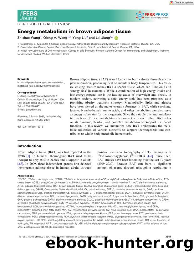 Energy metabolism in brown adipose tissue by Unknown