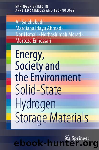 Energy, Society and the Environment by Ali Salehabadi & Mardiana Idayu Ahmad & Norli Ismail & Norhashimah Morad & Morteza Enhessari