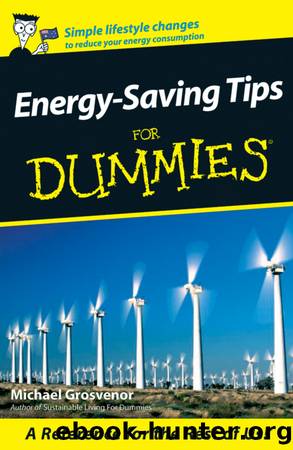 Energy-Saving Tips For Dummies by Michael Grosvenor