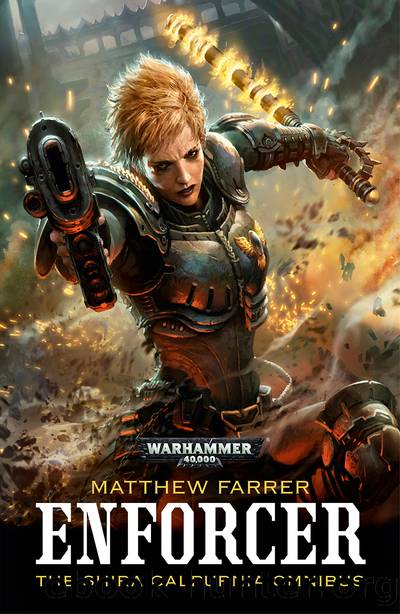 Enforcer by Matthew Farrer