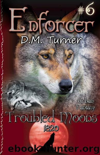Enforcer: Troubled Moons, 1820: Christian Urban Fantasy by D.M. Turner