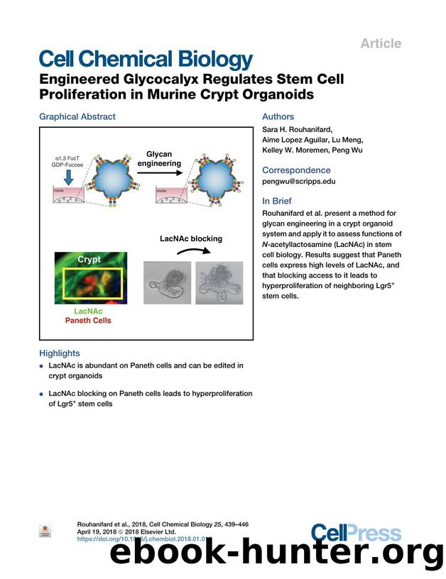 Engineered Glycocalyx Regulates Stem Cell Proliferation in Murine Crypt Organoids by Sara H. Rouhanifard & Aime Lopez Aguilar & Lu Meng & Kelley W. Moremen & Peng Wu