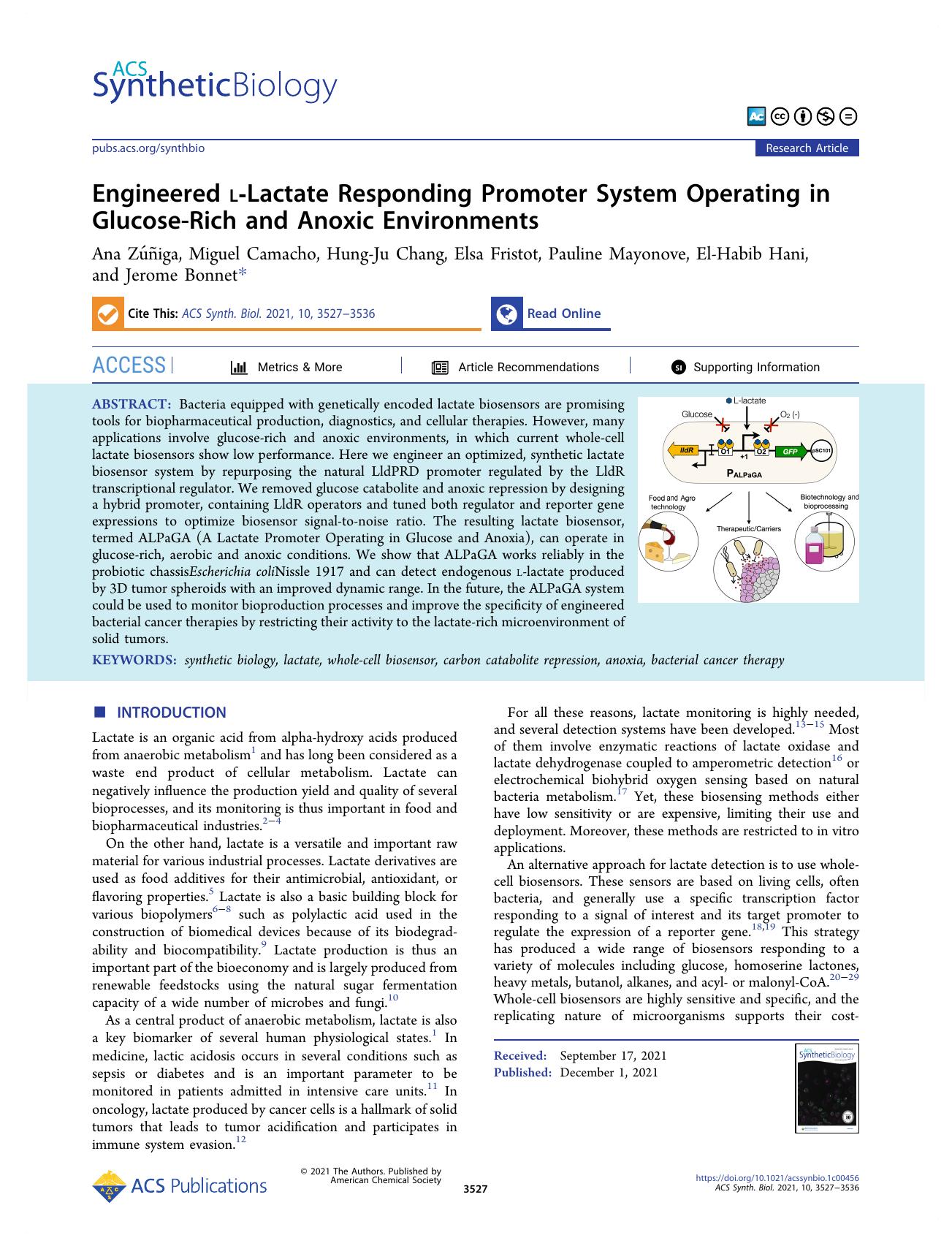 Engineered l-Lactate Responding Promoter System Operating in Glucose-Rich and Anoxic Environments by unknow
