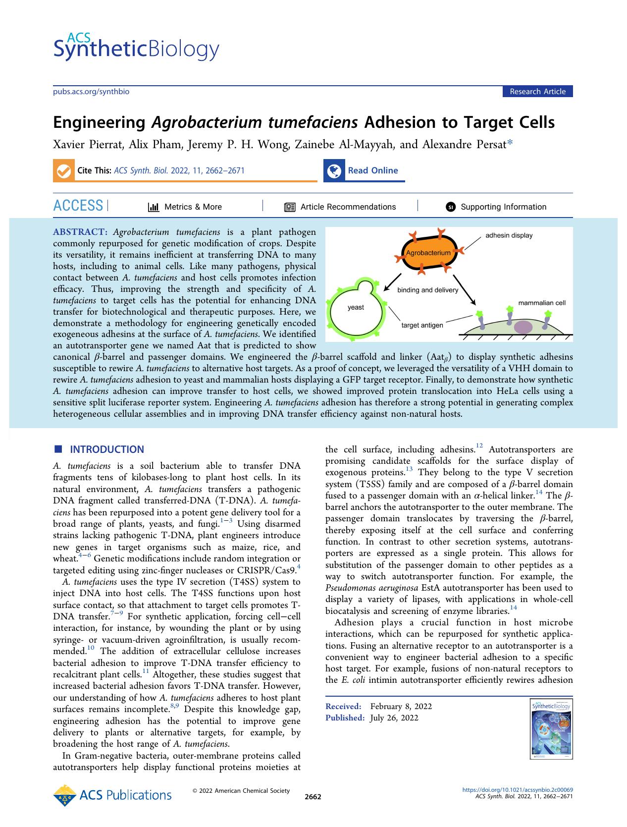 Engineering Agrobacterium tumefaciens Adhesion to Target Cells by Xavier Pierrat Alix Pham Jeremy P. H. Wong Zainebe Al-Mayyah and Alexandre Persat