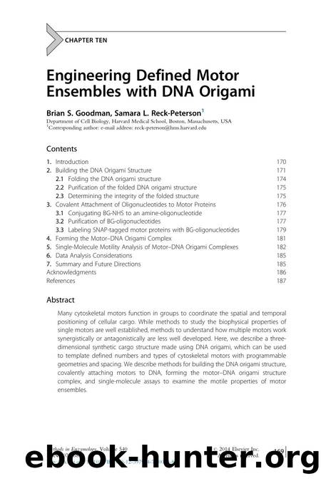 Engineering Defined Motor Ensembles with DNA Origami by Brian S. Goodman & Samara L. Reck-Peterson