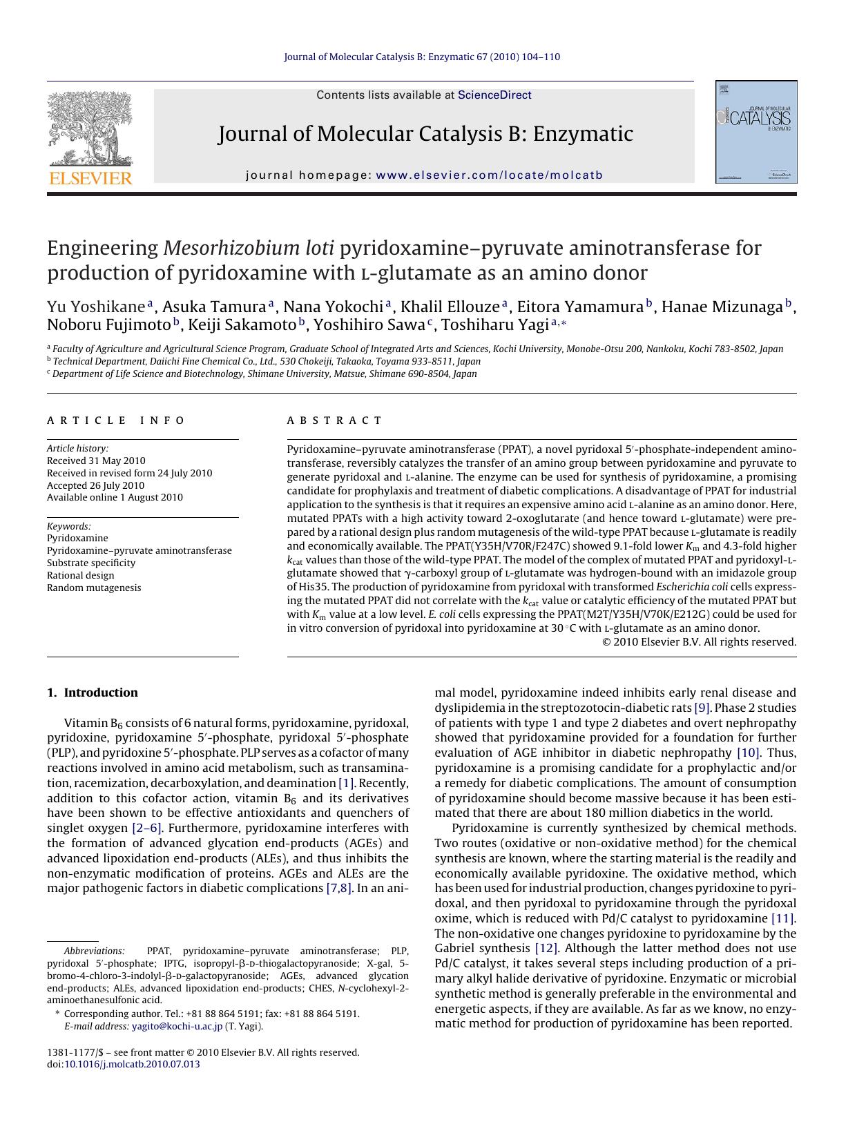 Engineering Mesorhizobium loti pyridoxamineÃ¢â¬âpyruvate aminotransferase for production of pyridoxamine with l-glutamate as an amino donor by Yu Yoshikane