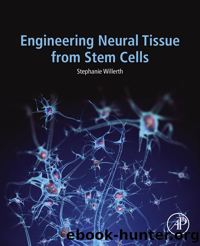 Engineering Neural Tissue from Stem Cells by Willerth Stephanie;