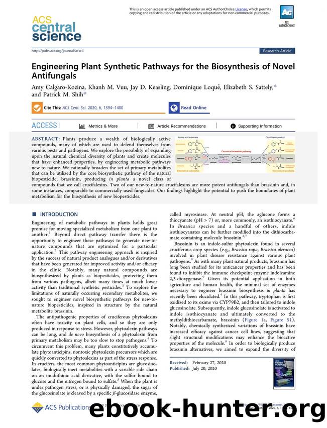Engineering Plant Synthetic Pathways for the Biosynthesis of Novel Antifungals by unknow