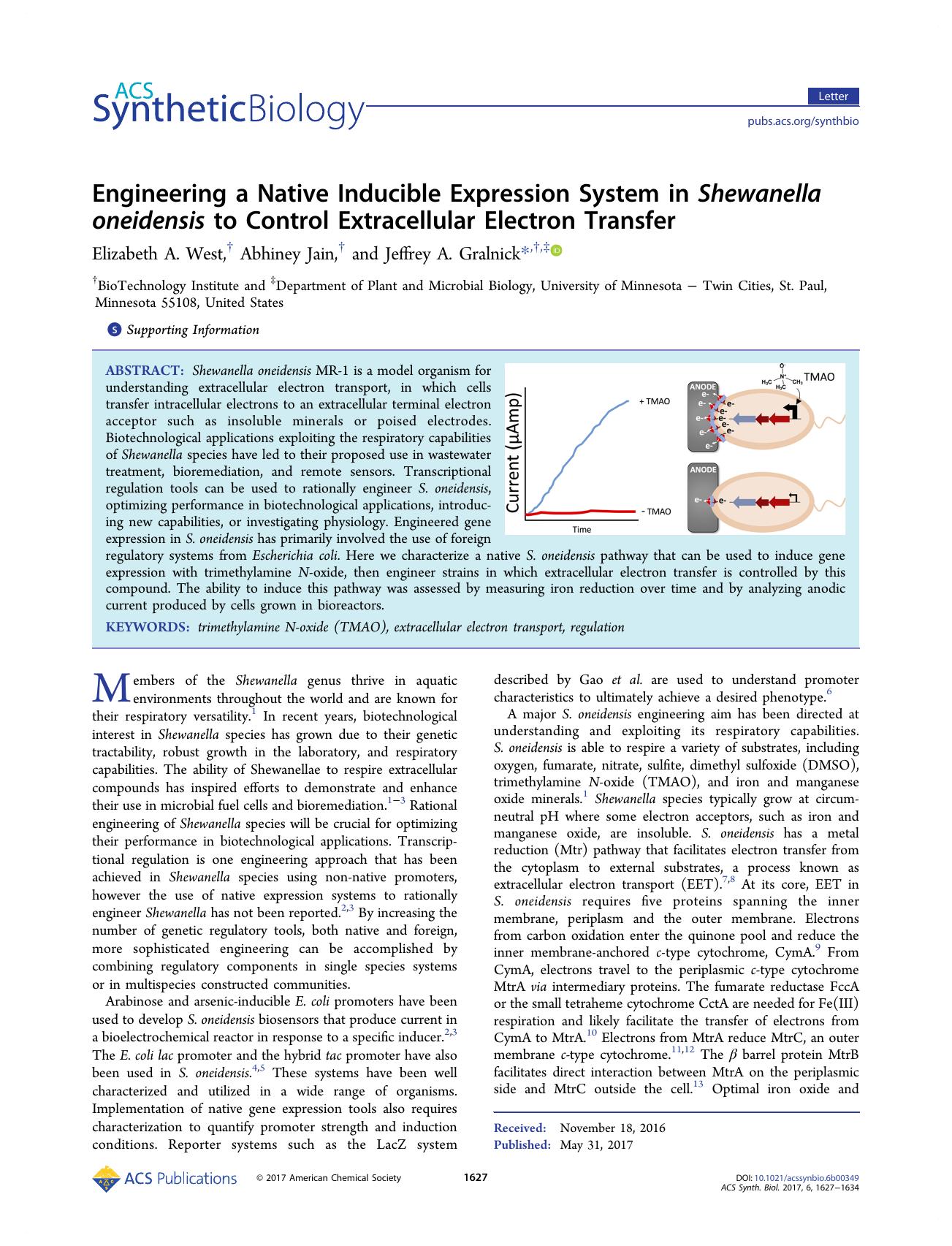 Engineering a Native Inducible Expression System in Shewanella oneidensis to Control Extracellular Electron Transfer by Elizabeth A. West Abhiney Jain and Jeffrey A. Gralnick