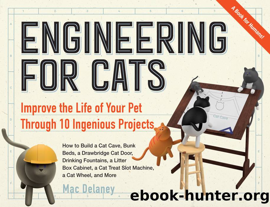 Engineering for Cats by Mac Delaney