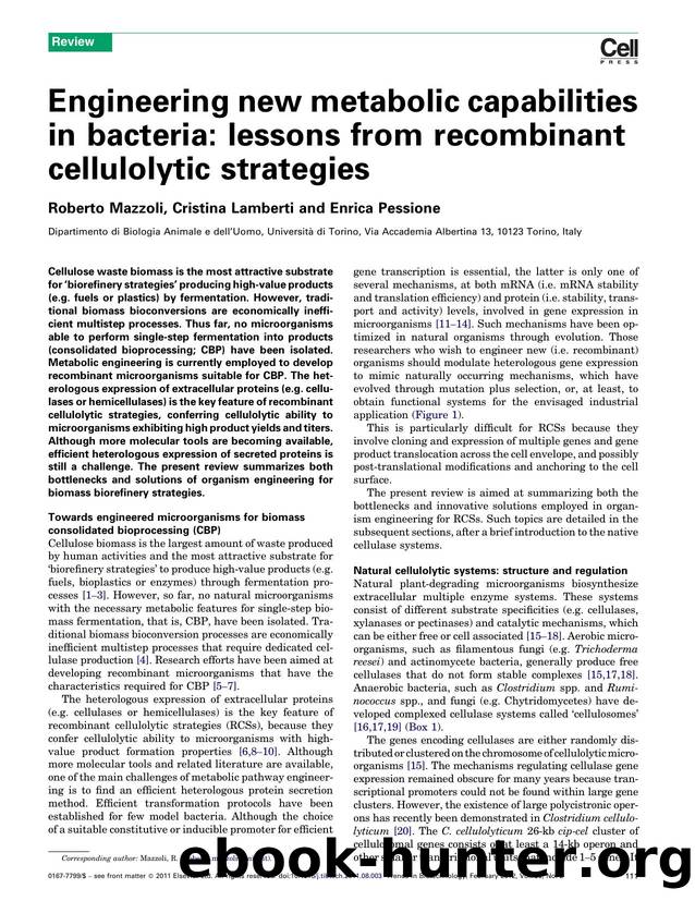 Engineering new metabolic capabilities in bacteria: lessons from recombinant cellulolytic strategies by Roberto Mazzoli