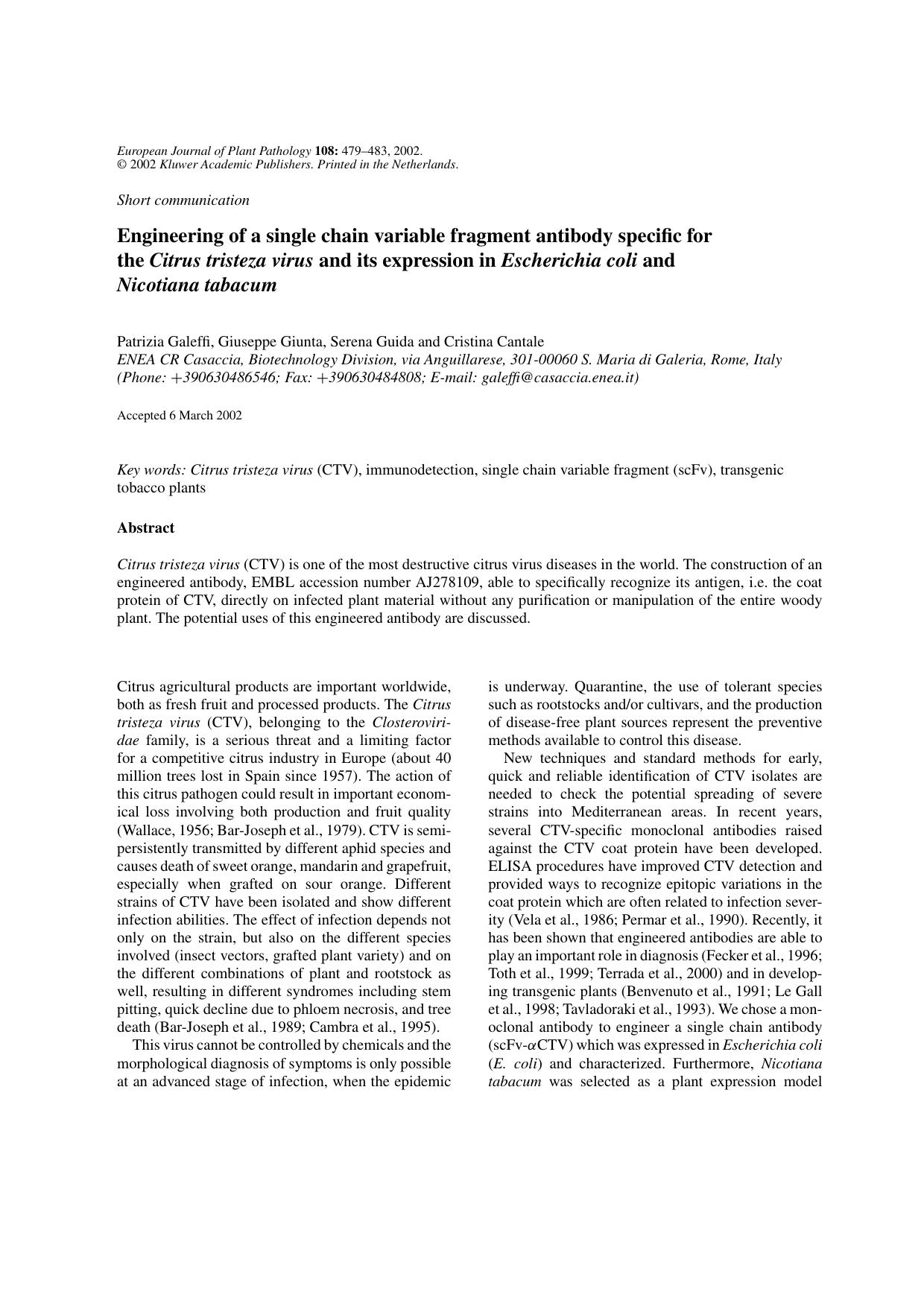 Engineering of a Single Chain Variable Fragment Antibody Specific for the <Emphasis Type="Italic">Citrus tristeza virus<Emphasis> and its Expression in <Emphasis Type="Italic">Esch by Unknown