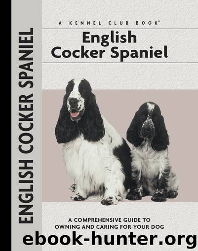 English Cocker Spaniel by Haja Van Wessem