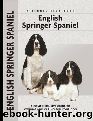 English Springer Spaniel by Haja Van Wessem