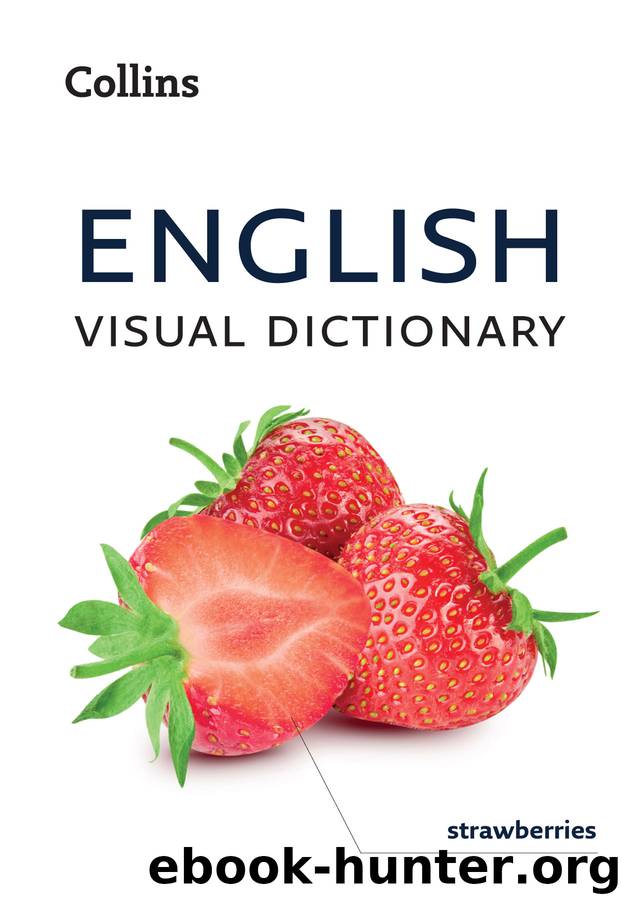 English Visual Dictionary by Collins Dictionaries