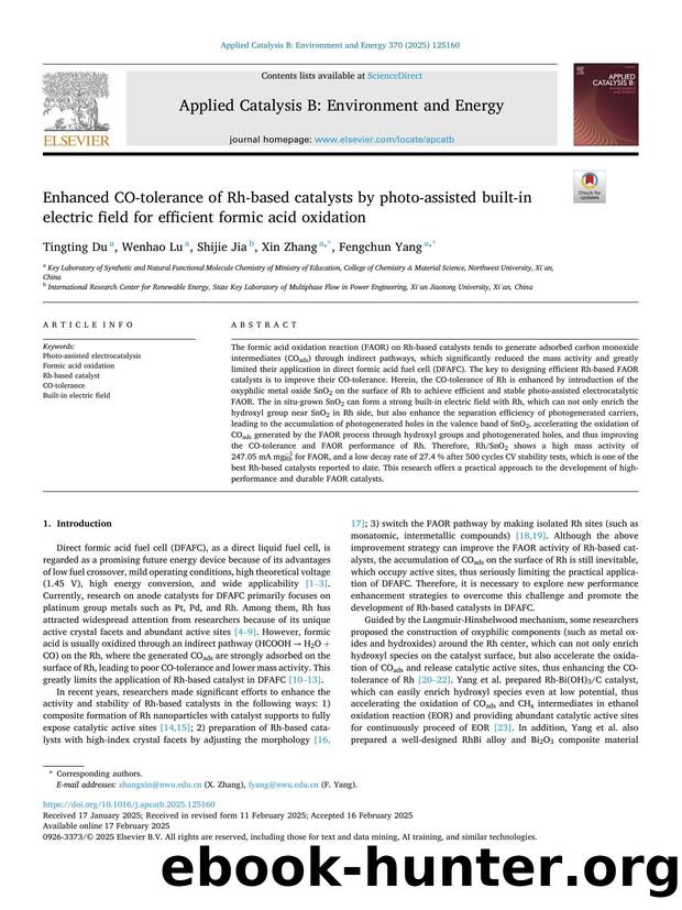 Enhanced CO-tolerance of Rh-based catalysts by photo-assisted built-in electric field for efficient formic acid oxidation by Tingting Du & Wenhao Lu & Shijie Jia & Xin Zhang & Fengchun Yang