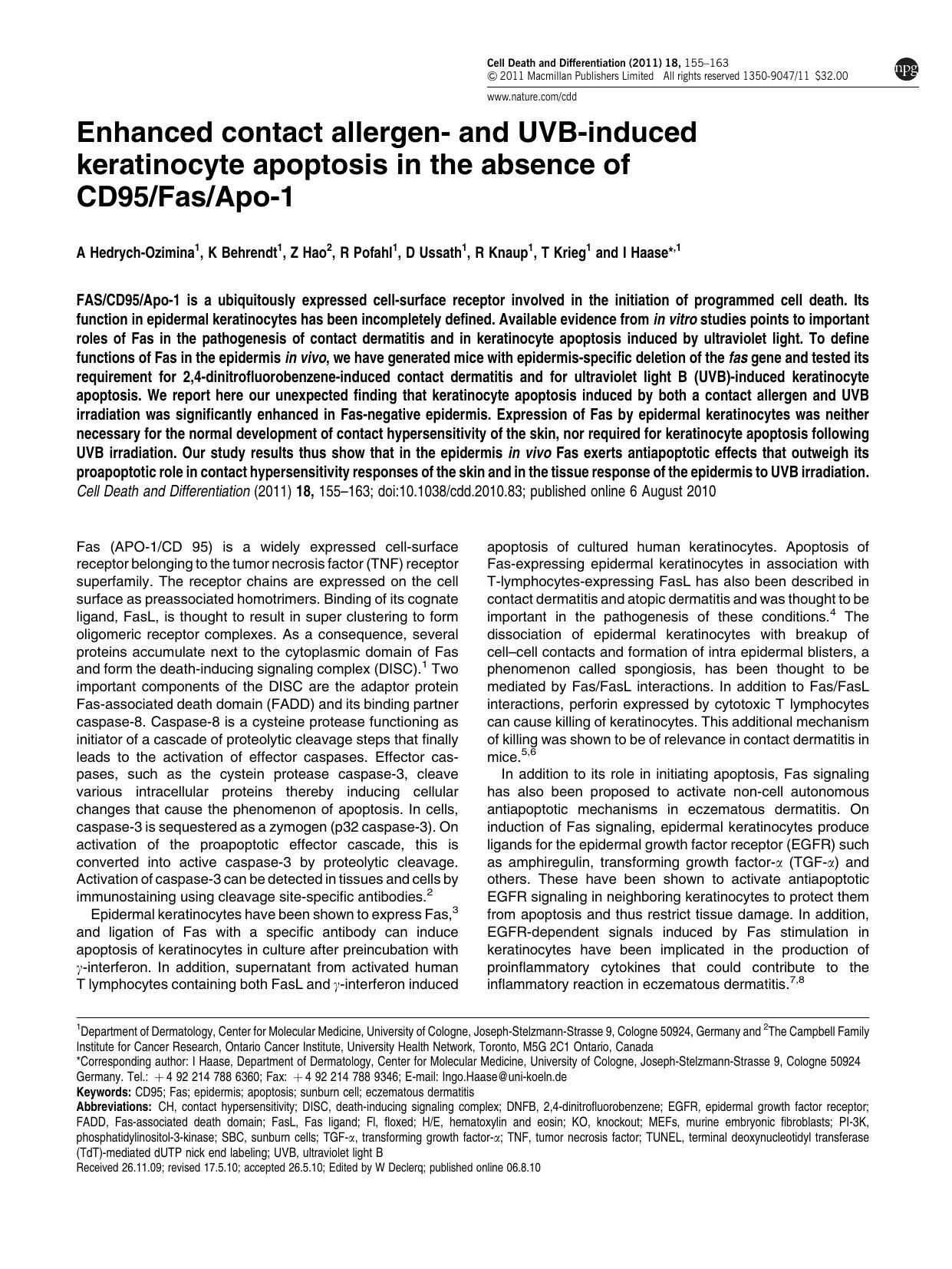 Enhanced contact allergen- and UVB-induced keratinocyte apoptosis in the absence of CD95&sol;Fas&sol;Apo-1 by A Hedrych-Ozimina & K Behrendt & Z Hao & R Pofahl & D Ussath & R Knaup & T Krieg & I Haase