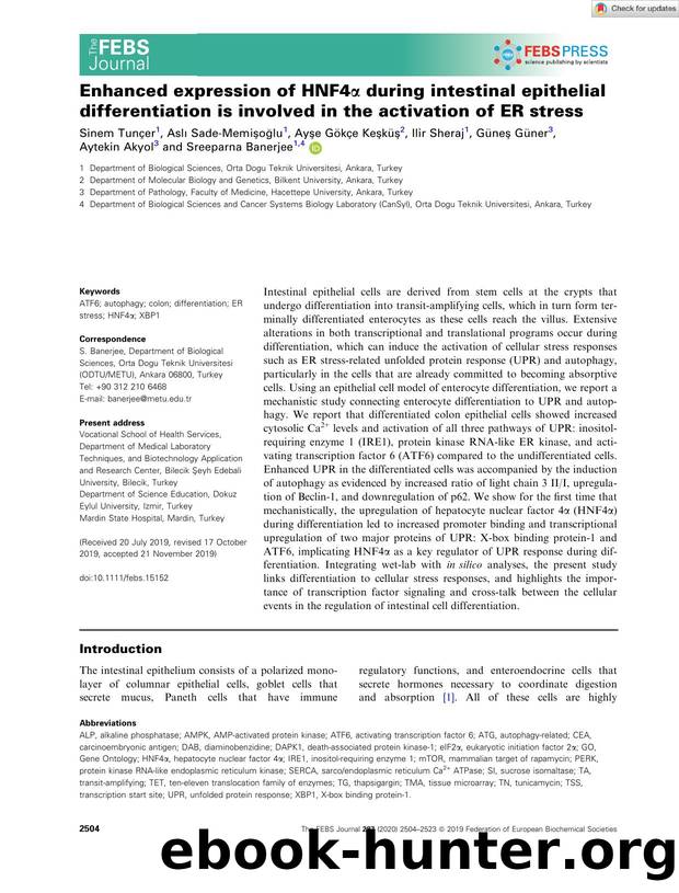 Enhanced expression of HNF4Î± during intestinal epithelial differentiation is involved in the activation of ER stress by Unknown