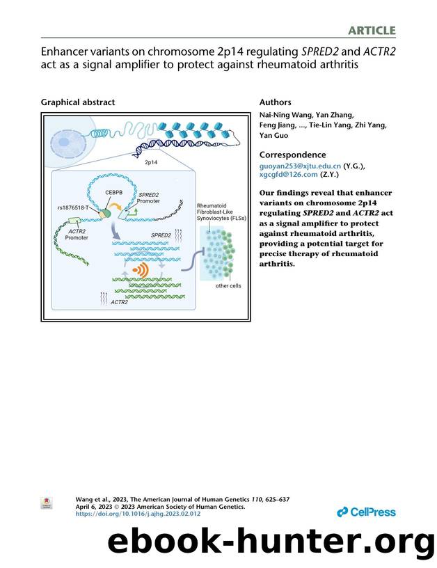 Enhancer variants on chromosome 2p14 regulating SPRED2 and ACTR2 act as a signal amplifier to protect against rheumatoid arthritis by unknow
