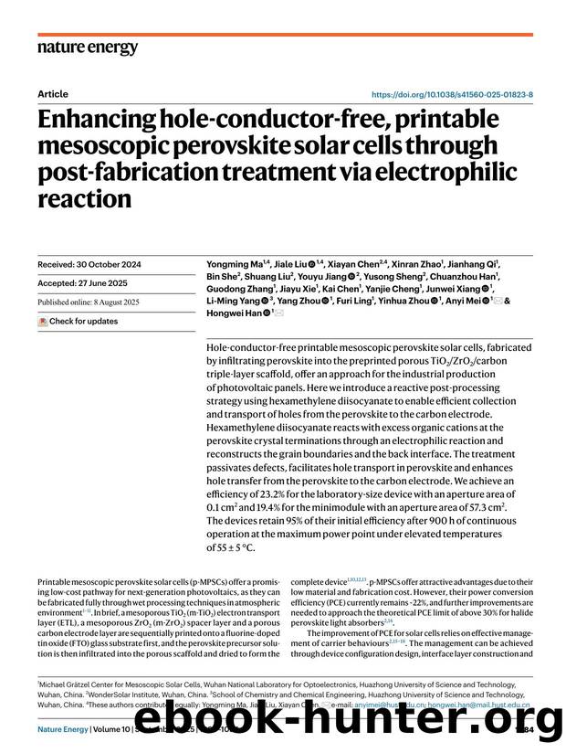 Enhancing hole-conductor-free, printable mesoscopic perovskite solar cells through post-fabrication treatment via electrophilic reaction by unknow