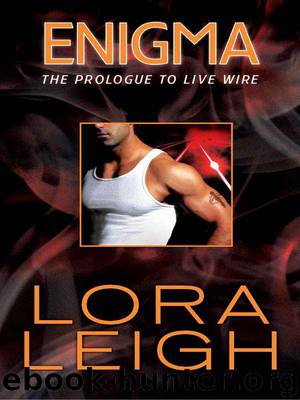 Enigma by Lora Leigh