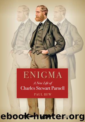 Enigma by Paul Bew