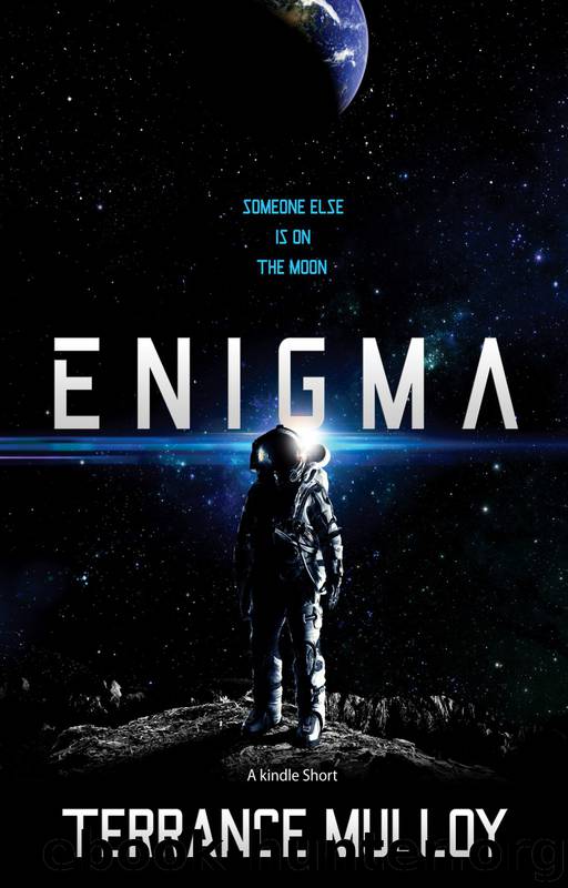 Enigma by Terrance Mulloy