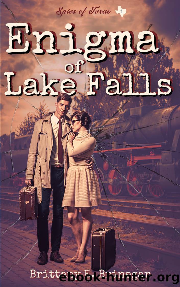 Enigma of Lake Falls by Brittany E. Brinegar