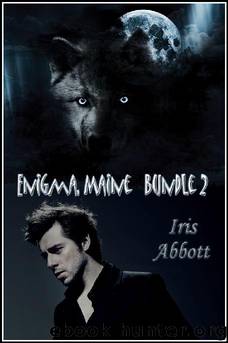 Enigma, Maine, Bundle 2 by Iris Abbott