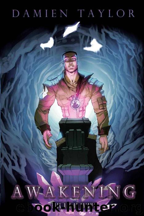 Enigma: Awakening by Damien Taylor