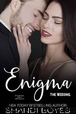 Enigma: The Wedding by Shandi Boyes
