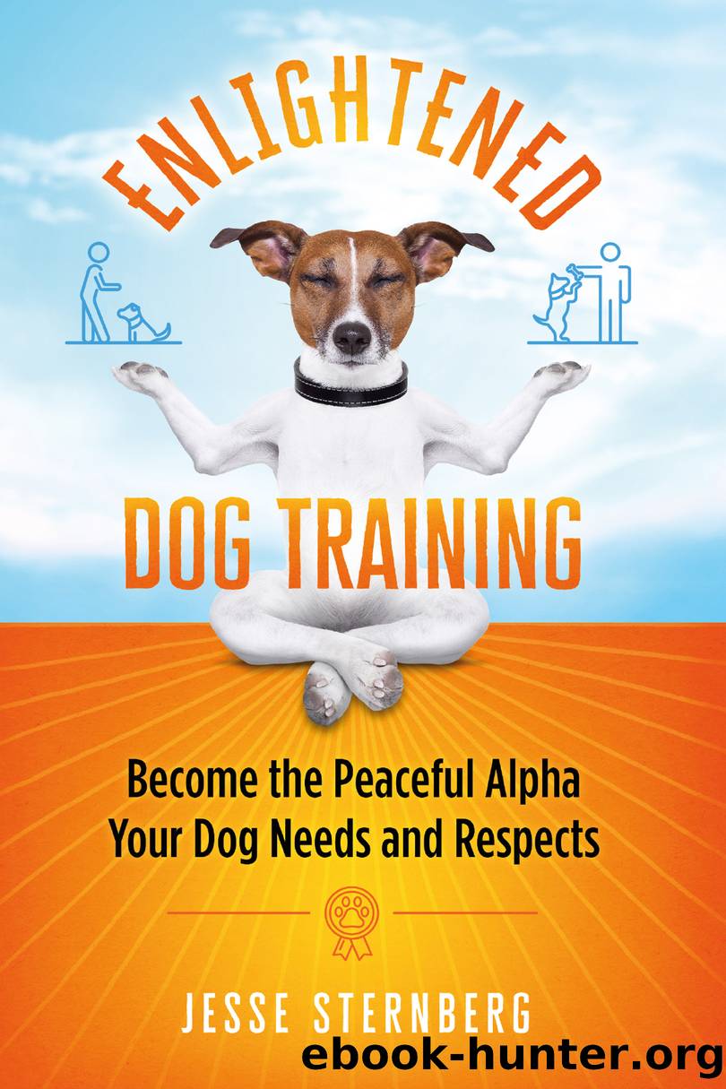 Enlightened Dog Training by Jesse Sternberg