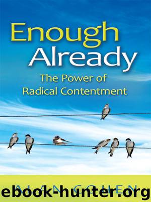 Enough Already by Alan Cohen