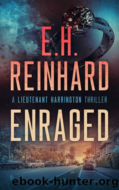 Enraged by E.H. Reinhard