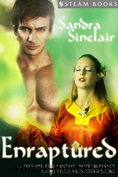 Enraptured--A Sexy Medieval Fantasy Erotic Romance Short Story from Steam Books by Sandra Sinclair