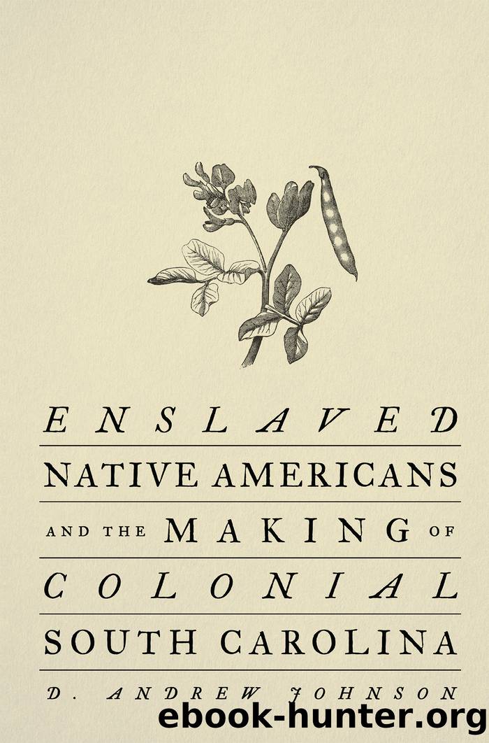 Enslaved Native Americans and the Making of Colonial South Carolina by D. Andrew Johnson