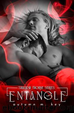 Entangle by Autumn Key