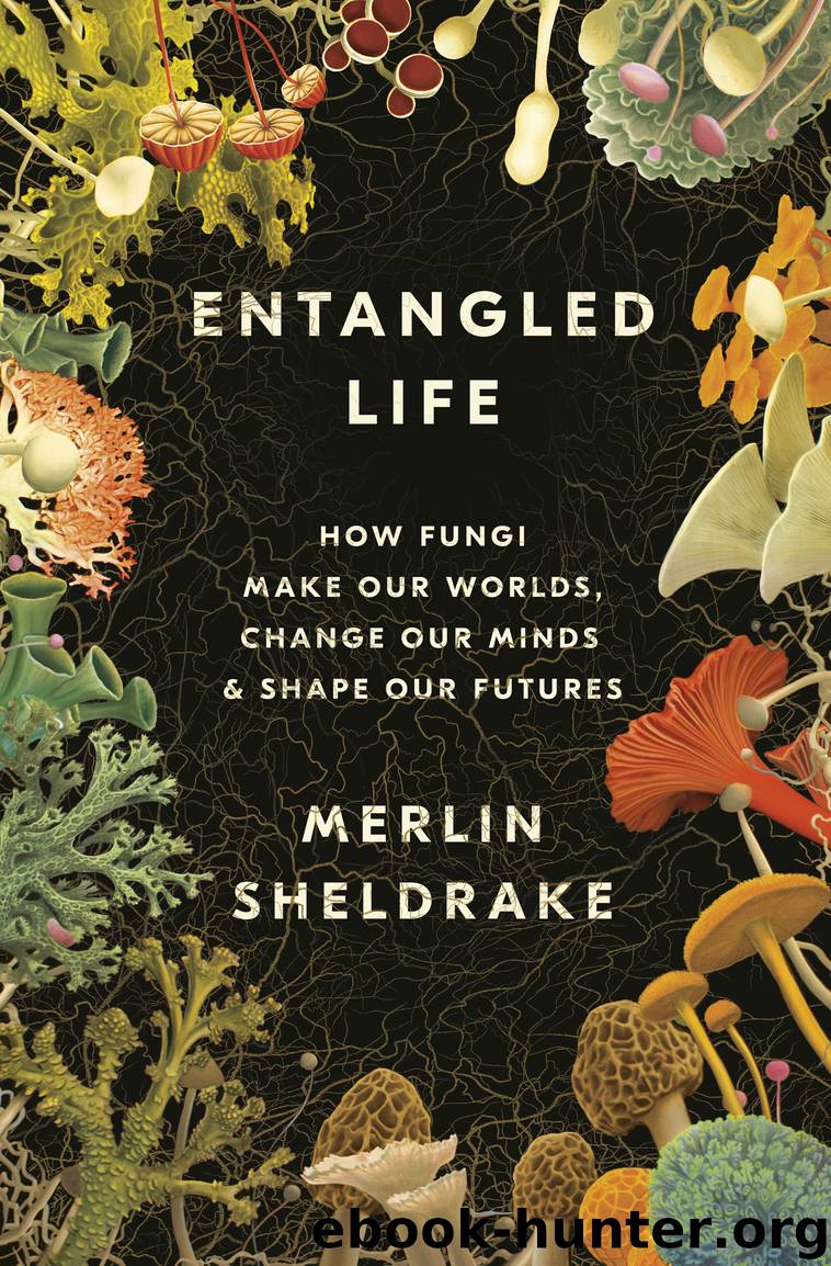 Entangled Life by Merlin Sheldrake