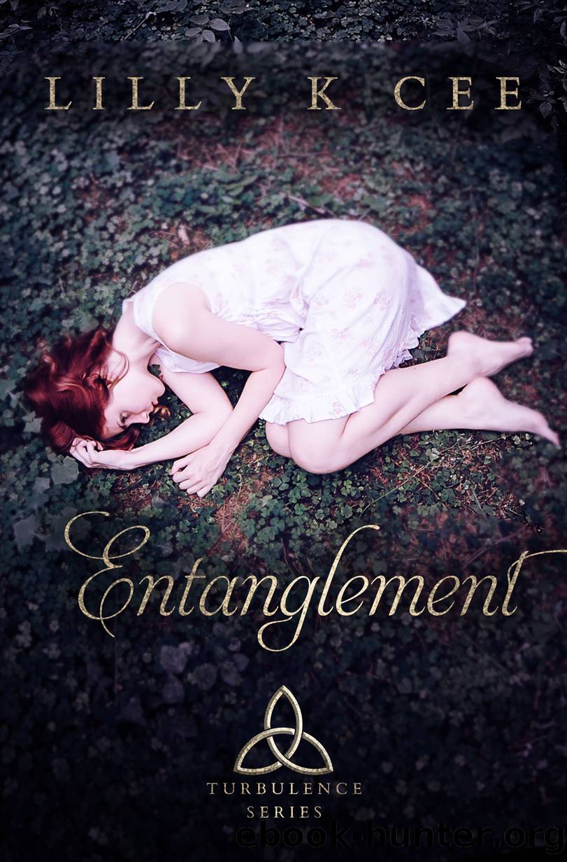Entanglement (Turbulence Series Part One) by Lilly K Cee