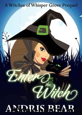 Enter the Witch by Andris Bear