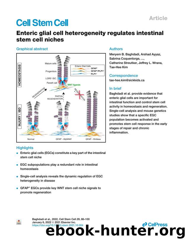 Enteric glial cell heterogeneity regulates intestinal stem cell niches by unknow