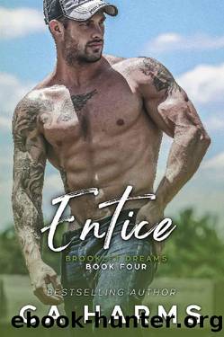 Entice (Brooklet Dreams Book 4) by C.A. Harms