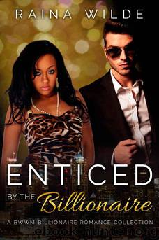 Enticed by the Billionaire: A BWWM Billionaire Romance Collection by Raina Wilde