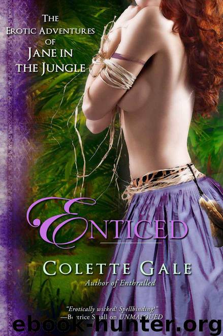Enticed: An Erotic Sacrifice by Colette Gale
