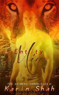 Entity Mine by Karin Shah