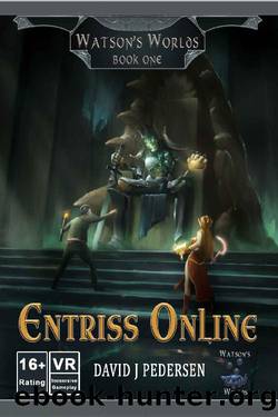 Entriss Online - A VR LitRPG Fantasy (Watson's Worlds Book 1) by David Pedersen