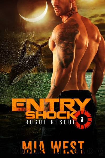 Entry Shock by Mia West